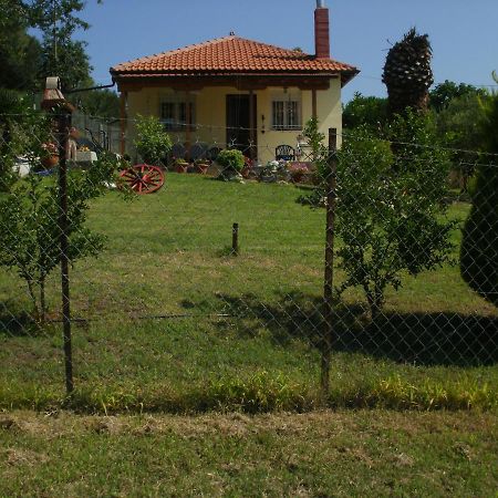 Xerxis Hill/Chalkidiki Τρυπητή Χαλκιδικής Villa Néa Róda Kültér fotó