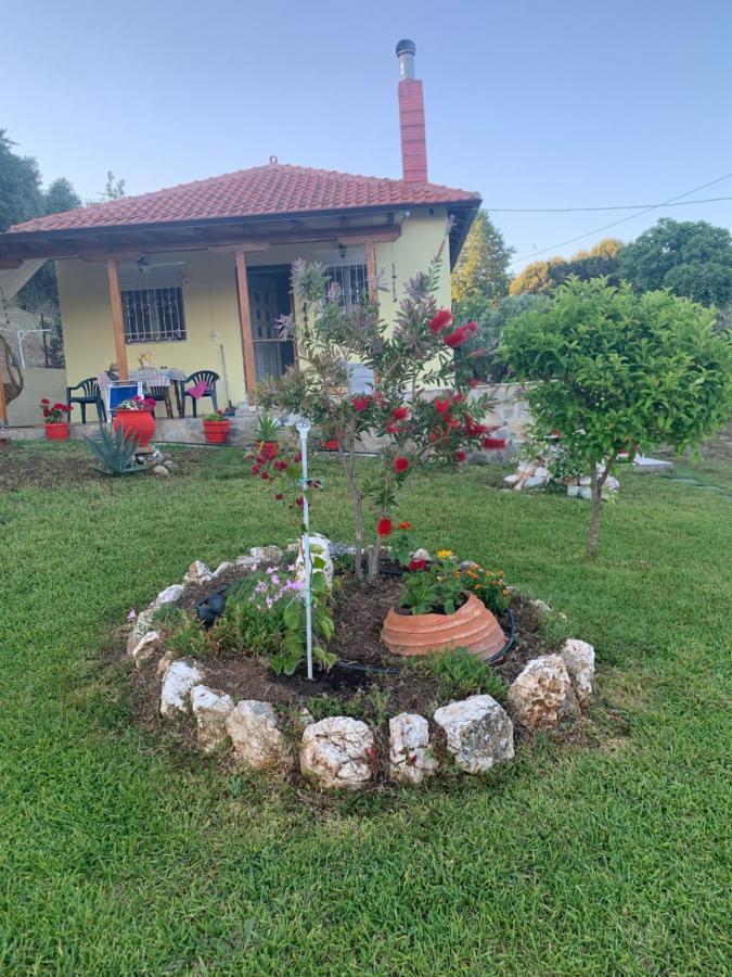 Xerxis Hill/Chalkidiki Τρυπητή Χαλκιδικής Villa Néa Róda Kültér fotó